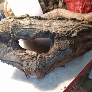 Natural Real Partially Hollow Wood Piece Garden Art Taxidermy Rustic Accent